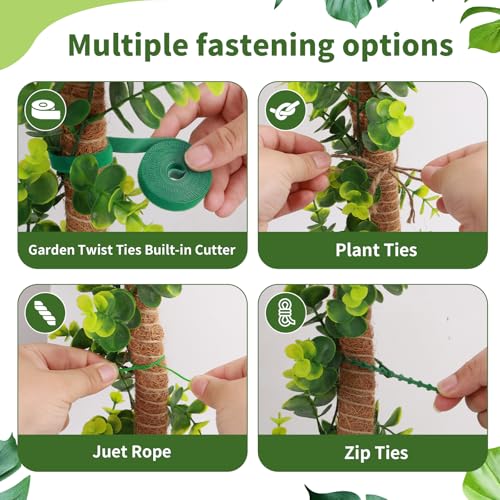 CNMTCCO 2 Stück 60 cm Moosstab Monstera für Pflanzen,Rankhilfe aus Kokosfaser,Rankhilfe für Kletterpflanzen mit Zubehör… – Ansicht 4