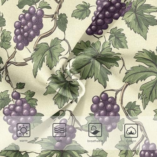 Vintage Grape Pattern Toddler Girls's Underwear 2T 202c11303