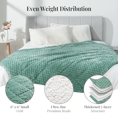 Image of Topblan Weighted Blanket for Adults, 60 inch x 80 inch 20lbs, Soft Sherpa Queen Size Heavy Blanket with 3D Jacquard Turtle Shell Flannel Fleece for Couch and Bed