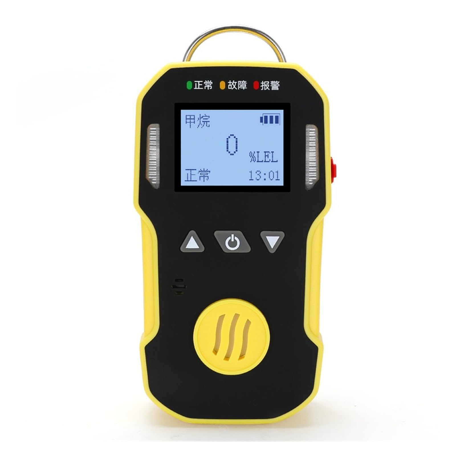 Rilevatore portatile di perdite di gas combustibili con display LCD, analizzatore di test di concentrazione singola for uso industriale Date in tempo reale