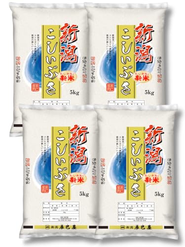 [] V VY Ԃ 20kg (5kg×4)  VC ߘa7NY