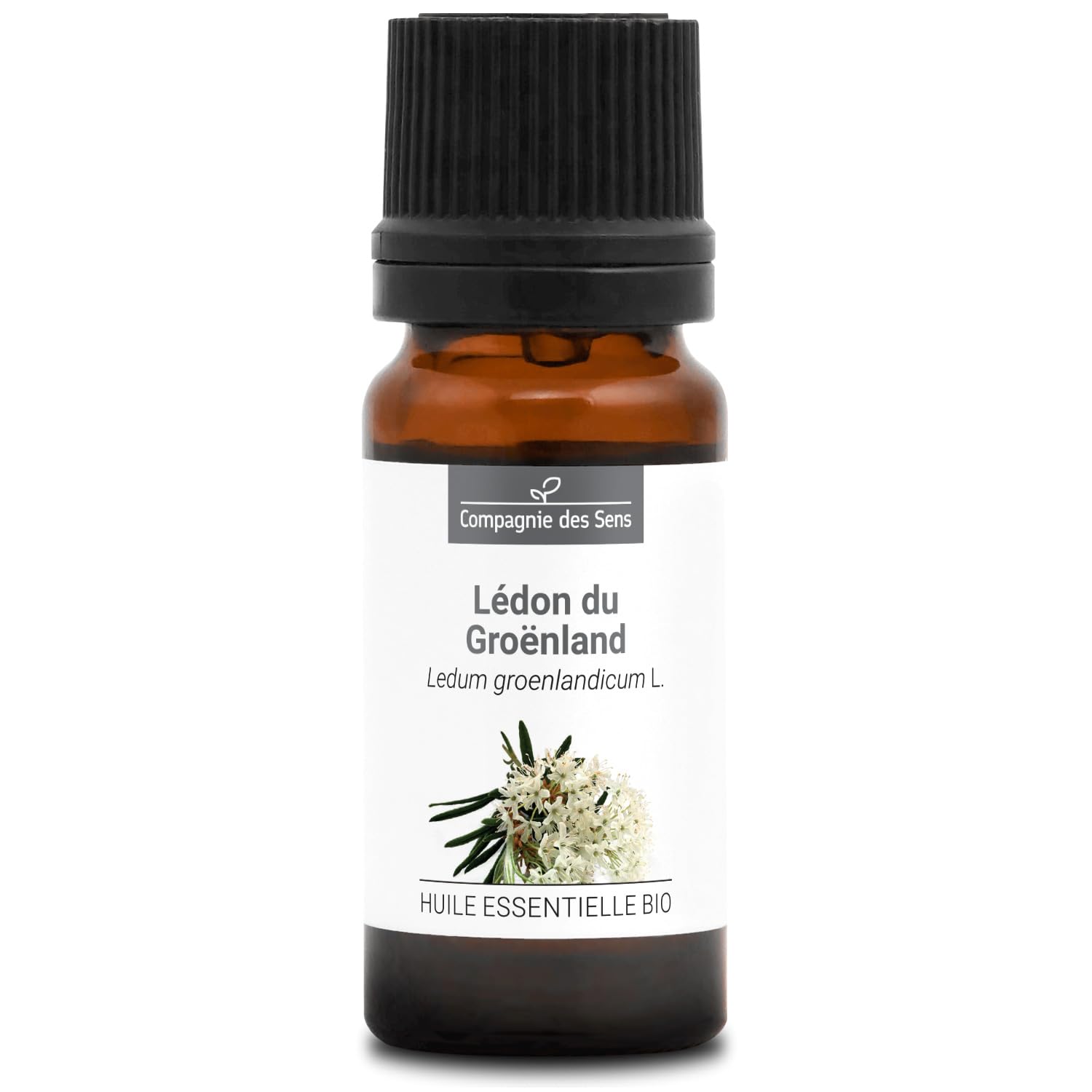 LÉDON DU GROENLAND BIO - 10mL - Huile Essentielle de Qualité Premium - 100% Pure, Naturelle, Garantie ChromaCert - Chémotypée et Intégrale - La Compagnie des Sens