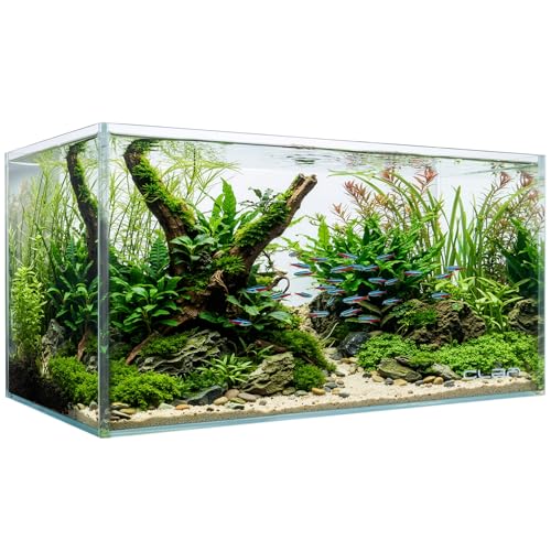 20 Gallon Glass Fish Tank, Standard Aquarium Fish Tank, Rimless Low Iron Aquarium for...