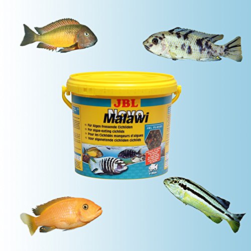 JBL NovoMalawi 3001200 Hoofdvoer voor algenetende cichliden, vlokken, 5,5 l - Afbeelding 6