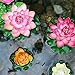 Lightingsky Artificial Floating Foam Lotus Flower Pond Decor Water Lily (6 Colours-1, Medium-18cm)