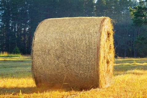 Rundballennetz 123 cm x 2000 m Polywrap Premium Ballennetz für Rundballenpressen Netzbindung für Heu Stroh Silage Landwirtschaft reißfest UV-stabil