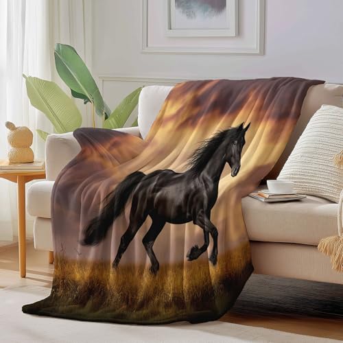 Plaid flanelle douceur d'automne couverture noire d'animaux cocon de douceur