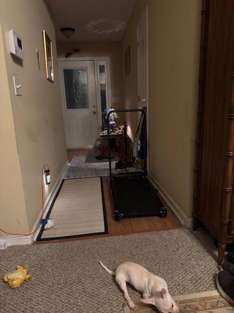 Customer Image