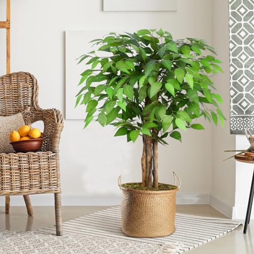 Image of 3ft Ficus Artificial Trees with Natural Curved Trunks, 36 inch Tall Lush Faux Tree for Home Decor Indoor, Green Lifelike Fake Ficus Tree Artificial Plants
