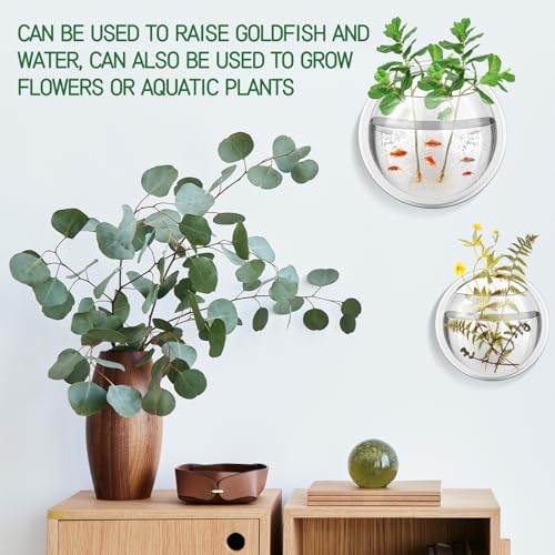 Image of DoubleFill 4 Pcs Wall Fish Tank wall Aquarium Hanging Fish Bowls 9in 6in Acrylic Fish Bubble Ecosphere Decor Fish Bubble Hanging Fish Bowl Clear Vase Flower Plant Pot