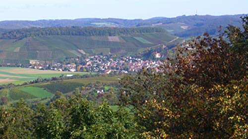 Württemberger Wein Flamme Glühwein Weiß (1 x 0.75 l)