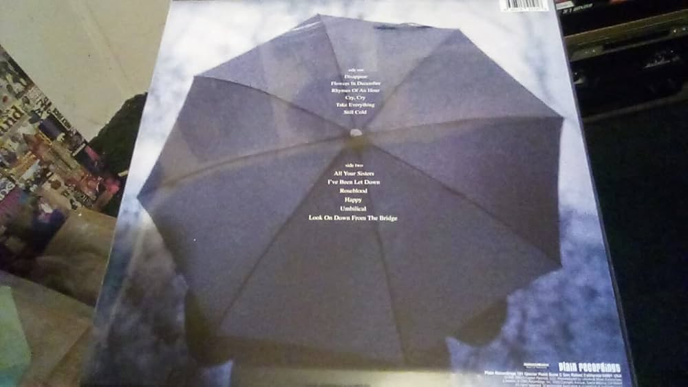 Among My Swan (Vinyl): Mazzy Star: Amazon.ca: Music