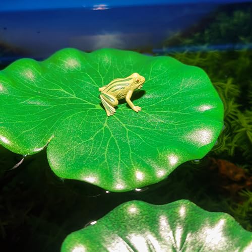Image of 10 Pcs Pond Plants, 5 Size Artificial Lotus Leaves, Realistic Floating Foam Water Lily Pads Ornaments, Plastic Fake Foliage Pond Decor for Patio Koi Fish Pond Pool Aquarium