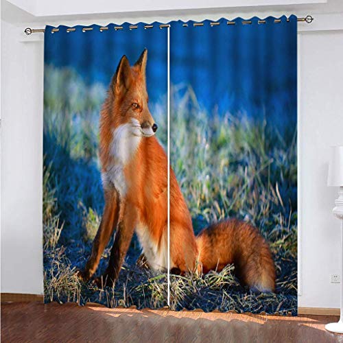 Rideaux et draperies intérieurs opaques bleu et renard isolant thermique - 2