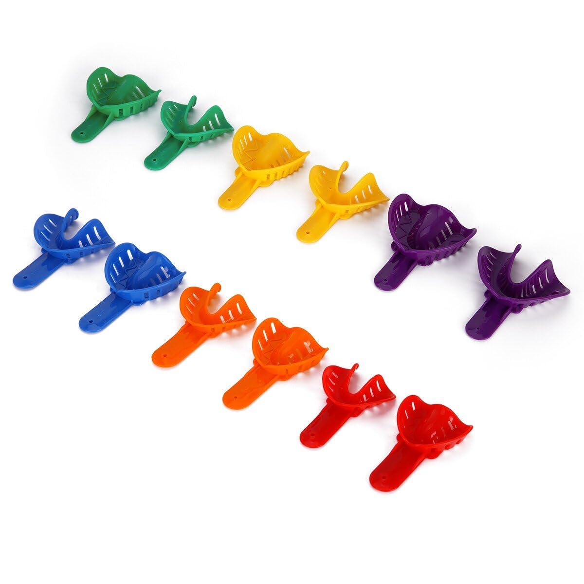 Plateau D' Dentaire pour Adultes Enfants, Porte-Dents, Fourniture Centrale Dentaire, Outils Buccaux, Équipement De Laboratoire, 12 Pièces
