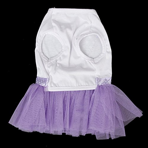 Ivebetter elegante e grazioso viola Pet piccolo