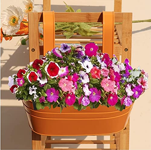 Behen Bahen 3Pcs Metal Wall Planters,10 Inches Oval Metal Railing Planter, Balcony Railing Hanging Plant Pot, Indoor Outdoor Hanging Plant Pot Decor, Rustic Herb Flower Plant Holder,Color - White #TOP4