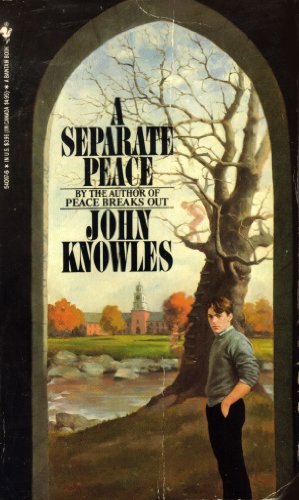 A Seperate Place B0011ZJ86K Book Cover