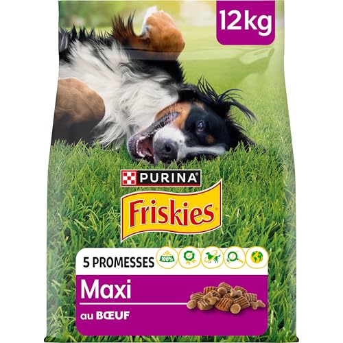 FRISKIES | Maxi | Chien | Croquettes pour Chiens Adultes de Grande Taille | au Boeuf | Source de protéines de Haute qualité | Sac | 12 KG