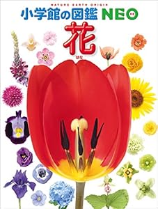 小学館の図鑑neo 新版 動物 田中豊美 三浦慎悟 成島悦雄 伊澤雅子 吉岡基 室山泰之 北垣憲仁 ノンフィクション 伝記 Kindleストア Amazon 小学館の図鑑neo 新版 動物 田中豊美 三浦慎悟 成島悦雄 伊澤雅子 吉岡基 室山泰之 北垣憲仁 ノンフィクション 伝記 Kindleストア Amazon