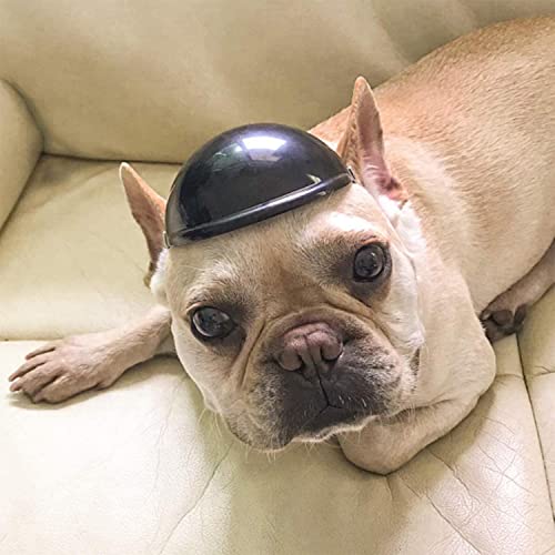 Lepidi Hundehelm für Hunde, Schwarz Plastik Haustier Einstellbare Helm, Welpen Katze Hut Helme mit Entlüftung, Coole Motorrad Hundehelm für Katzen, Kleine, Mittelgroße Hunde Radfahren Outdoor