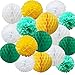 Price comparison product image Time to Sparkle 16 Pack Mix Tissue Paper Pompoms Honeycomb Balls Pom Poms Table Garland Wedding Party Decoration (Balls-Green Shade)