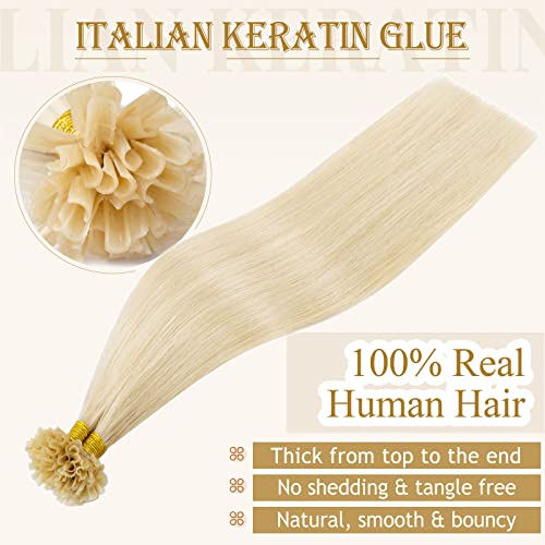 My-Lady U Tip Hair Extensions Human Hair Platinum Blonde 14 Inch 50G 50Strands K Tip Keratin Bond Hair Extensions Fusion Utip Ktip Pre Bonded Hair Extensions Real Remy Hair #TOP1