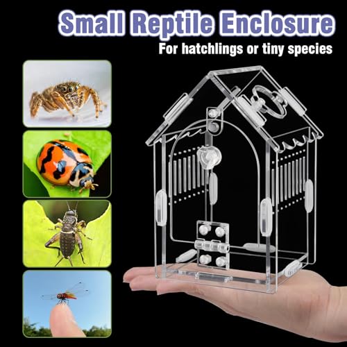 Image of Acrylic Jumping Spider Enclosure with Magnetic Latch