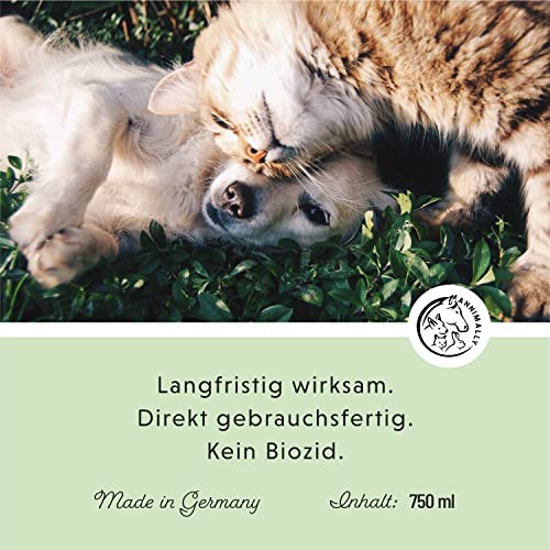 Annimally Enzymreiniger Spray 750ml gegen Katzenurin & Hundeurin XXL Packung - Tier Geruchsentferner gegen Urin Geruch - Enzym Flecken- und Geruchsentferner