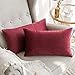 MIULEE Funda de Cojines de Terciopelo Cojines de Sofá Funda de Almohada Super Suave Elegante Decorativo para Silla Cama Habitación Dormitorio Salón Sala de Estar Oficina 2 Piezas 30x50 cm Vino Rojo