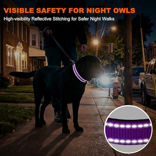 Image of Taglory Reflective Extra Large Dog Collar, Comfortable for Safe Night Walks