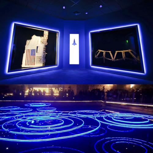 Tira LED Neon Azul 10 m 1200 LEDs Impermeable miniatura 2