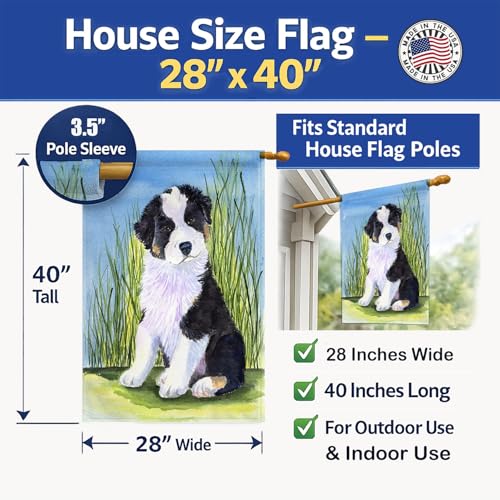 Drapeau de maison berger australien grand format multicolore extérieur en toile de qualité