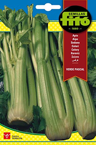 Semillas Fitó 9 - Semillas de Apio Verde Pascal