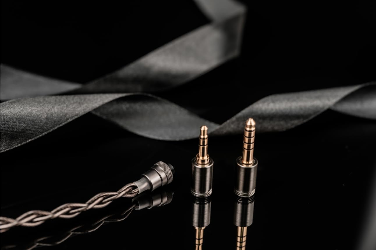 Fanmusic Dunu DN242 In-Ear-Kopfhörer, kabelgebunden, HiFi-IEM-Kopfhörer mit 2DD 4BA + 2 Planar 8-Treiber-Treibern, 0,78 mm, 2-poliges Premium-Kabel (Standard-Version)