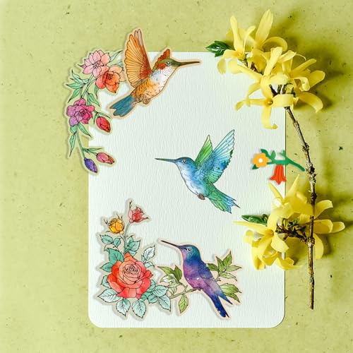 GLOBLELAND Conjunto de carimbos transparentes e matrizes de corte de beija-flor para fazer cartões,