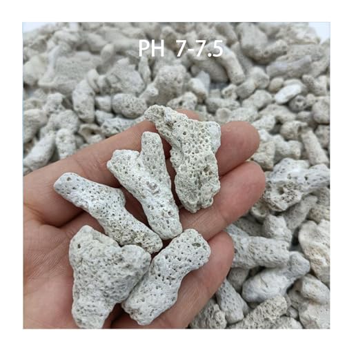 Image of Fish Tank Coral Filter Fish Tank Filter Crushed Coral for Freshwater Aquarium Bio Ceramic Filter Media Fish Tank Filtration Material Pond Filter Media Reusable Aquarium Filter