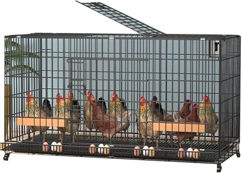 Zdaqian 鶏 ケージ 鶏用大型ペットケージ ポータブル鶏小屋 家庭用、屋外用、鶏小屋 小動物、モルモット、ウサギ、フェレット小屋 鶏かご 7-10鶏のためのトレイと卵トレイ付き 鶏小屋 アウトドア家庭用飼育 (60*42*50cm) (A)