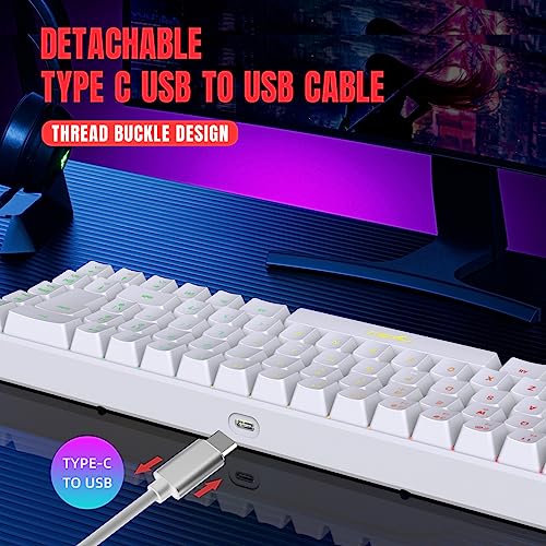 Teclado Membrana Mini 68-Key RGB USB-C miniatura 3
