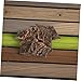 CORHAD 12Pcs Natural Reptile Bark Decoration for Terrariums and Aquariums Durable Tree Bark Platforms for Reptile Enclosures Snake and Gecko Decor