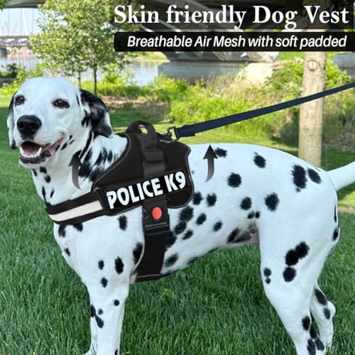 Image of Berlin's PET ACCESSORIES Police K9 Dog Harness with Leash, Dog Vest with Handle, Reflective Adjustable No-Pull Harness for Dogs Heavy Duty Nylon, for Training, Patrol, Hiking (Black, Small (5-12Kg))