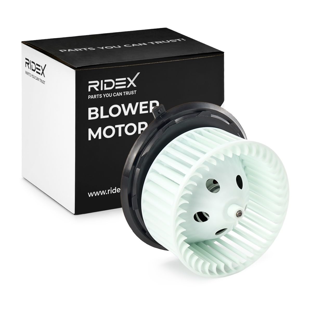 RIDEX 2669I0051 Ventilador habitáculo Compatible con RENAULT LAGUNA II BG0/1