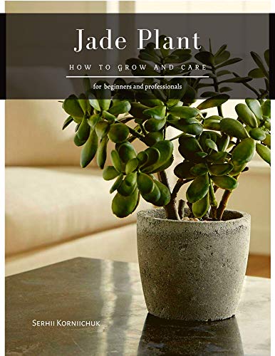 Jade Plant: How to grow and care Jade Plant: How to grow and care
