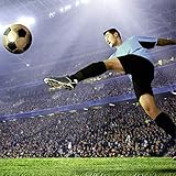 Scenolia TPXS800600060WR157494 Acrylglastafel, Aluminium Glas Acryl, Druck mit weißem Träger, 60 x 60 cm