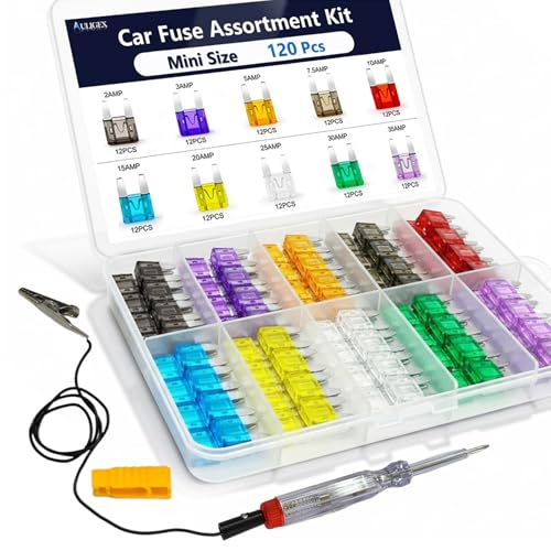 Auligex 120Pcs Fuse Kit with Tester