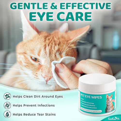 EcoEarth Premium-Augentücher für Hunde und Katzen – 100 Stück – Reinigungspads für die Augen von Haustieren zum Entfernen von Flecken, Krusten und Ausfluss