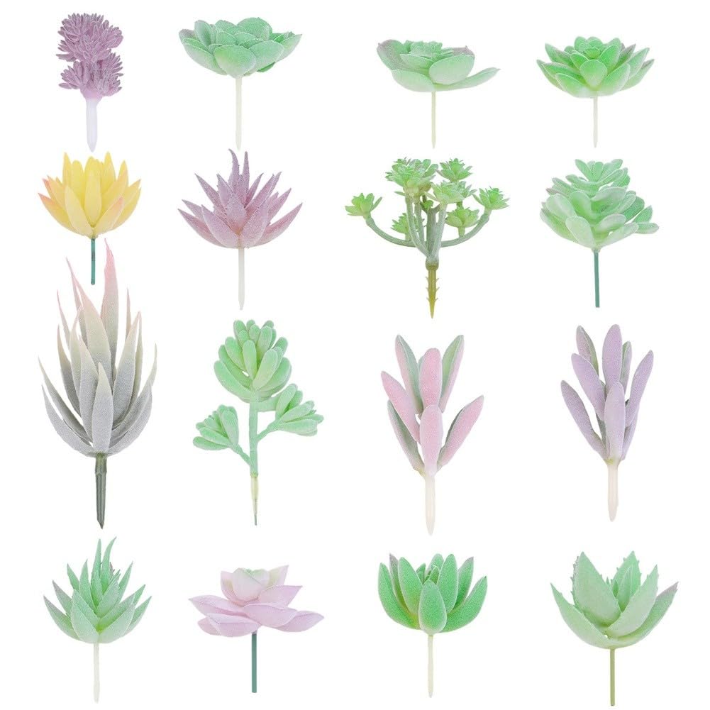 Plantes succulentes artificielles réalistes sans arrosage pour étagère sombre
