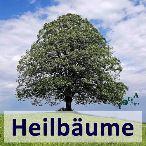 Baumheilkunde-Podcast: die mystische und heilende Seite von B&auml;umen cover art