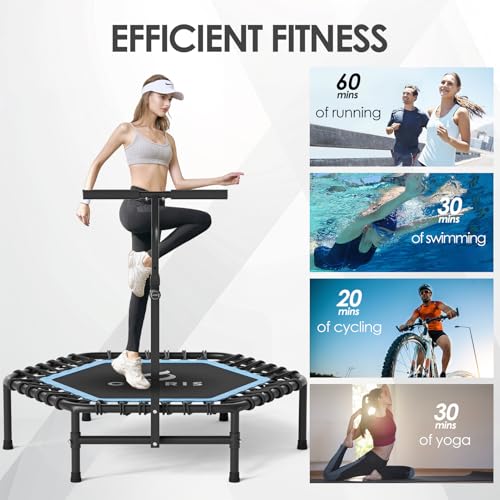CLORIS 45in Trampoline Rebounder Max Load 450lbs Fitness Trampoline with Adjustable Foam Handle for Adult, Best Gift for Adult - Image 3