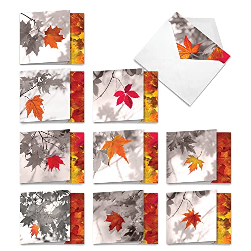 Image of The Best Card Company - 10 Beautiful Note Cards Blank (4 x 5.12 Inch) - Fall and Autumn Season, Boxed Notecard Assortment - Autumn Leaf MQ4629OCB-B1x10